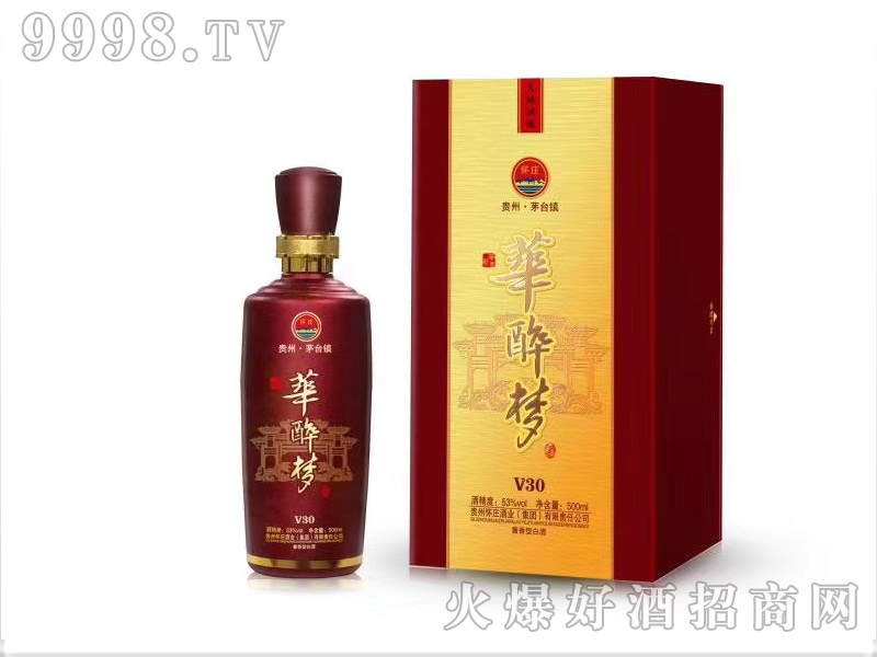 �F���A�����V30�u����500ml53%vol