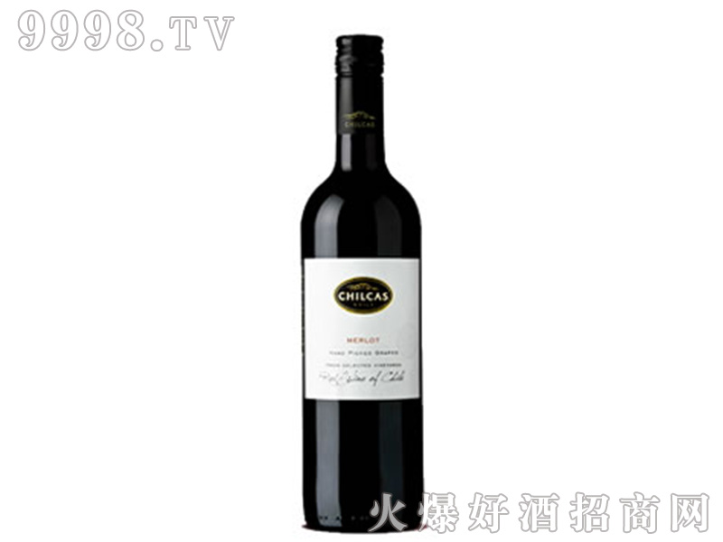 �濨˹÷��t���Ѿơ�13��750Ml��6��