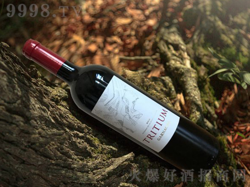 �躣�ȸɼt���������٣���ᄡ�13�� 750ml��