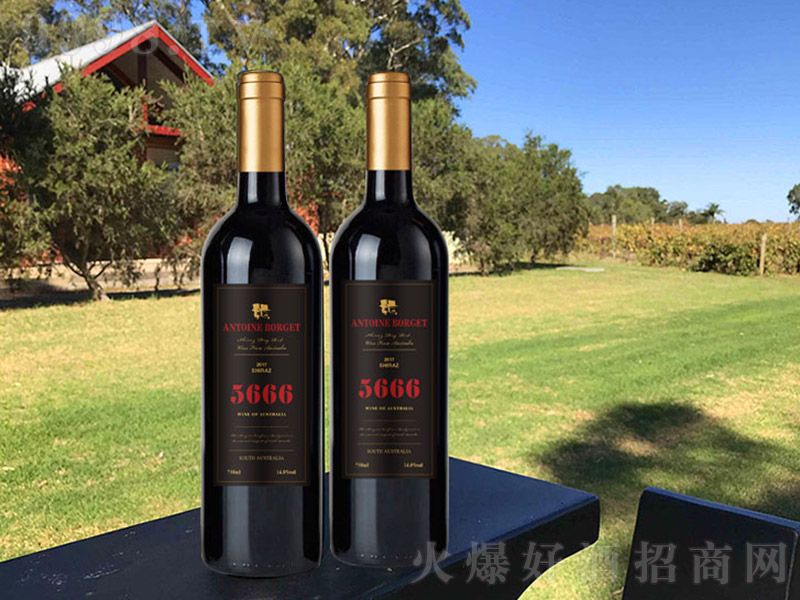 5666�����Ӹɼt���Ѿƺژˡ�13�� 750ml��