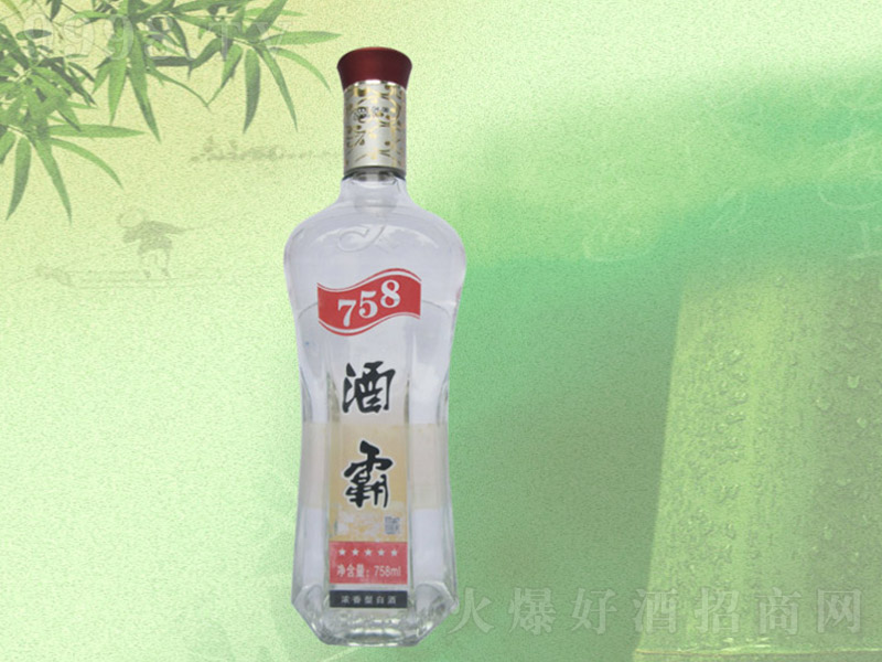 �񽭴�758�ưԾ� �����Ͱ׾ơ�52�� 758ml��