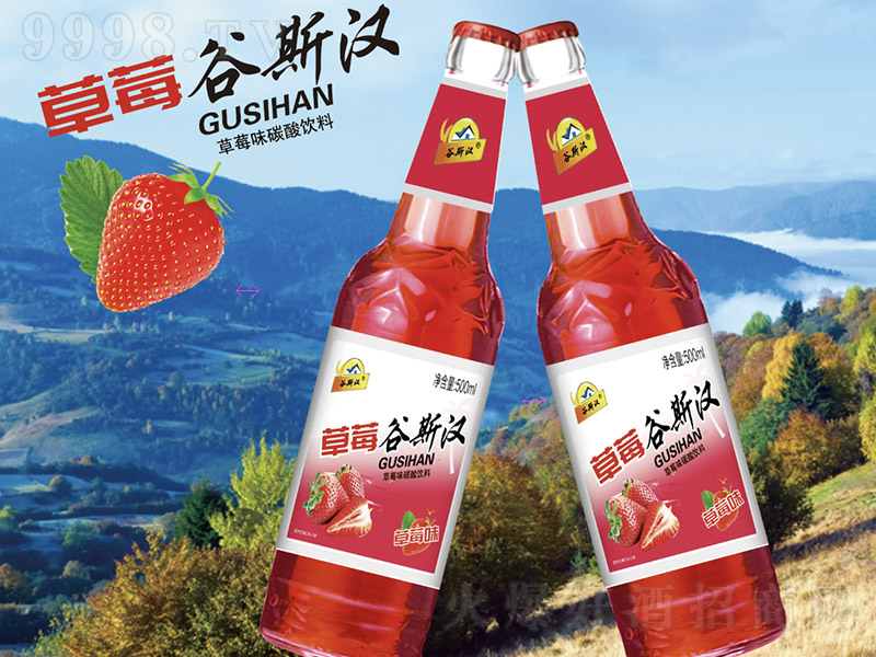 ��˹�h��ơ��ϣ���ݮζ��-��ˮ��500ml��