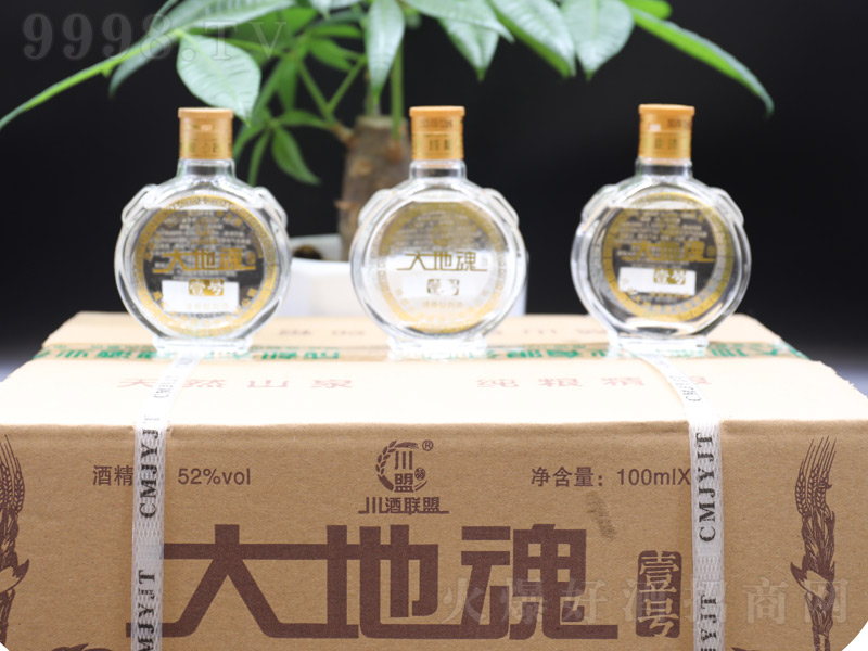��ػ������Ҽ̖С�������͡�52��100ml��